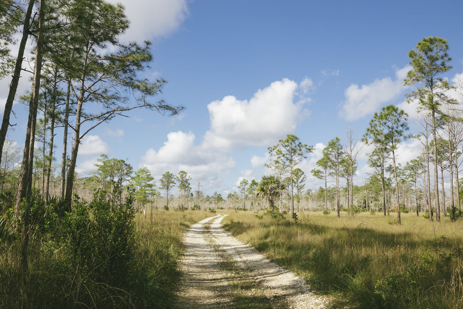 Everglades Trail