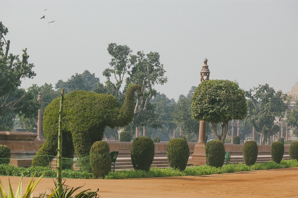  Rashtrapati Bhavan Gardens in New Delhi, India
