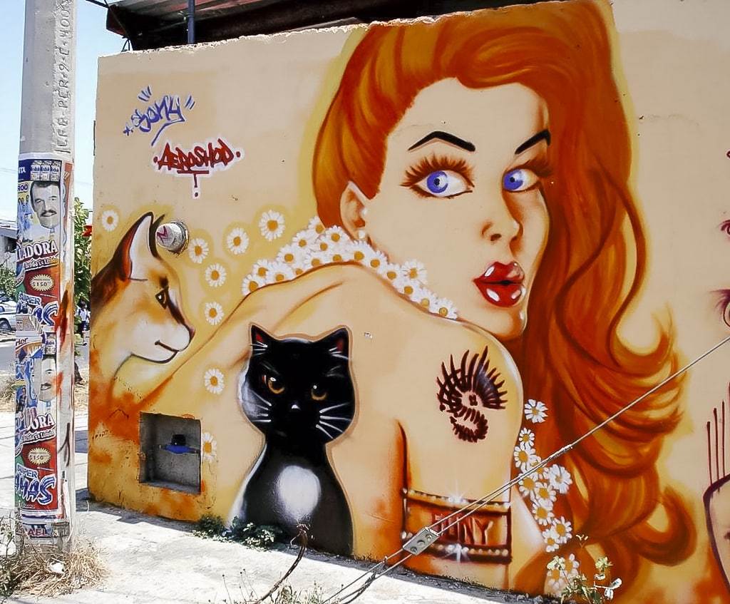 A mural of a redhead woman by street artist Sony Sony Montana in Cancun