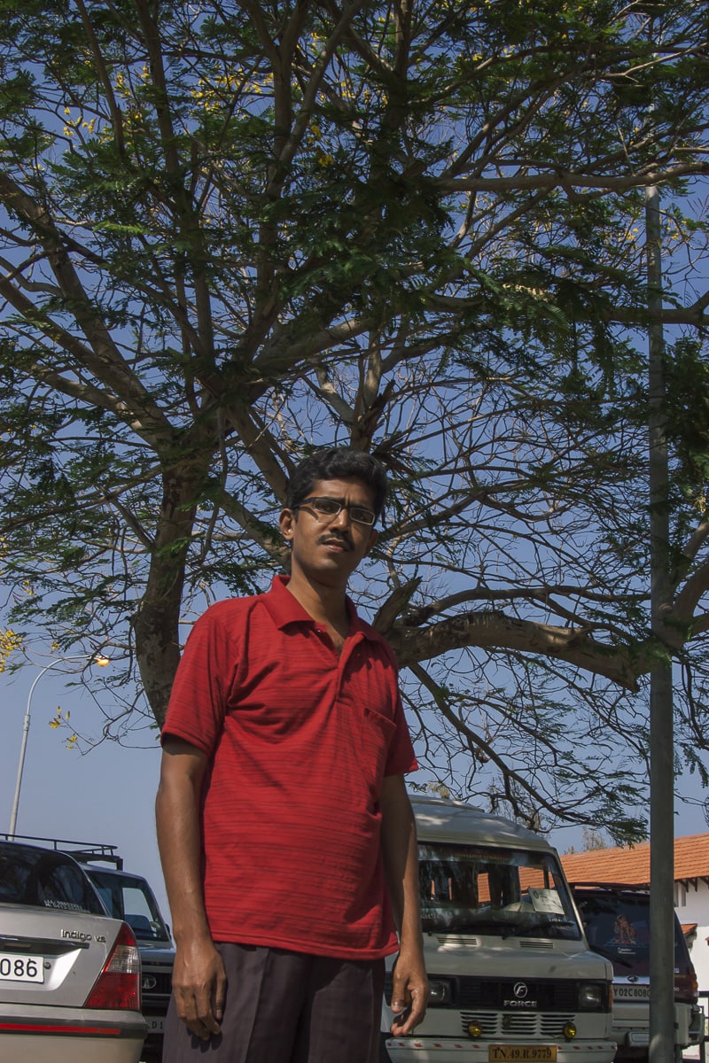 Tsunami Survivor K. Pasupathi standing under the tree he held on to to save his life