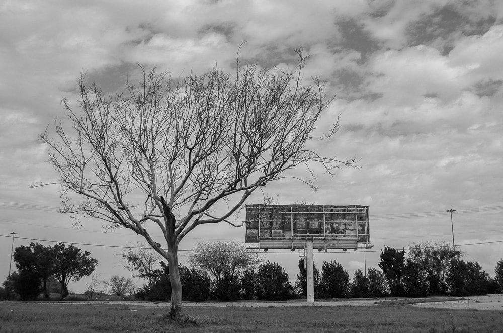 A dead tree and an old rusty Billboard in Arlington, Texas