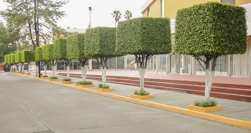 Guadalajara, Jalisco