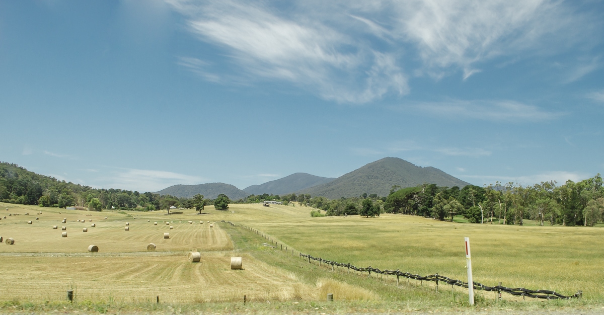 A pasture in Healesville, Australia 