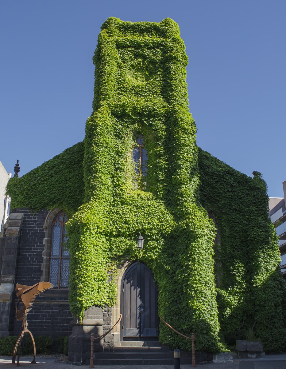 An old church covered with vines in Melbourne, Australia