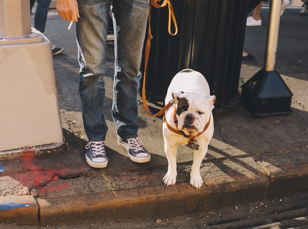 New York City Street