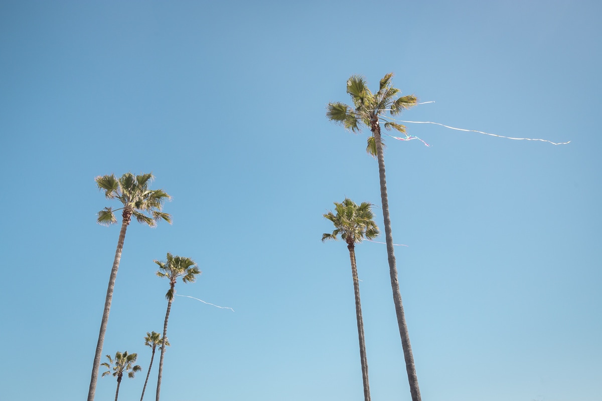 Ocean Beach, San Diego