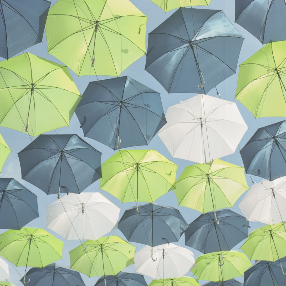 Umbrellas at the Texas Fair