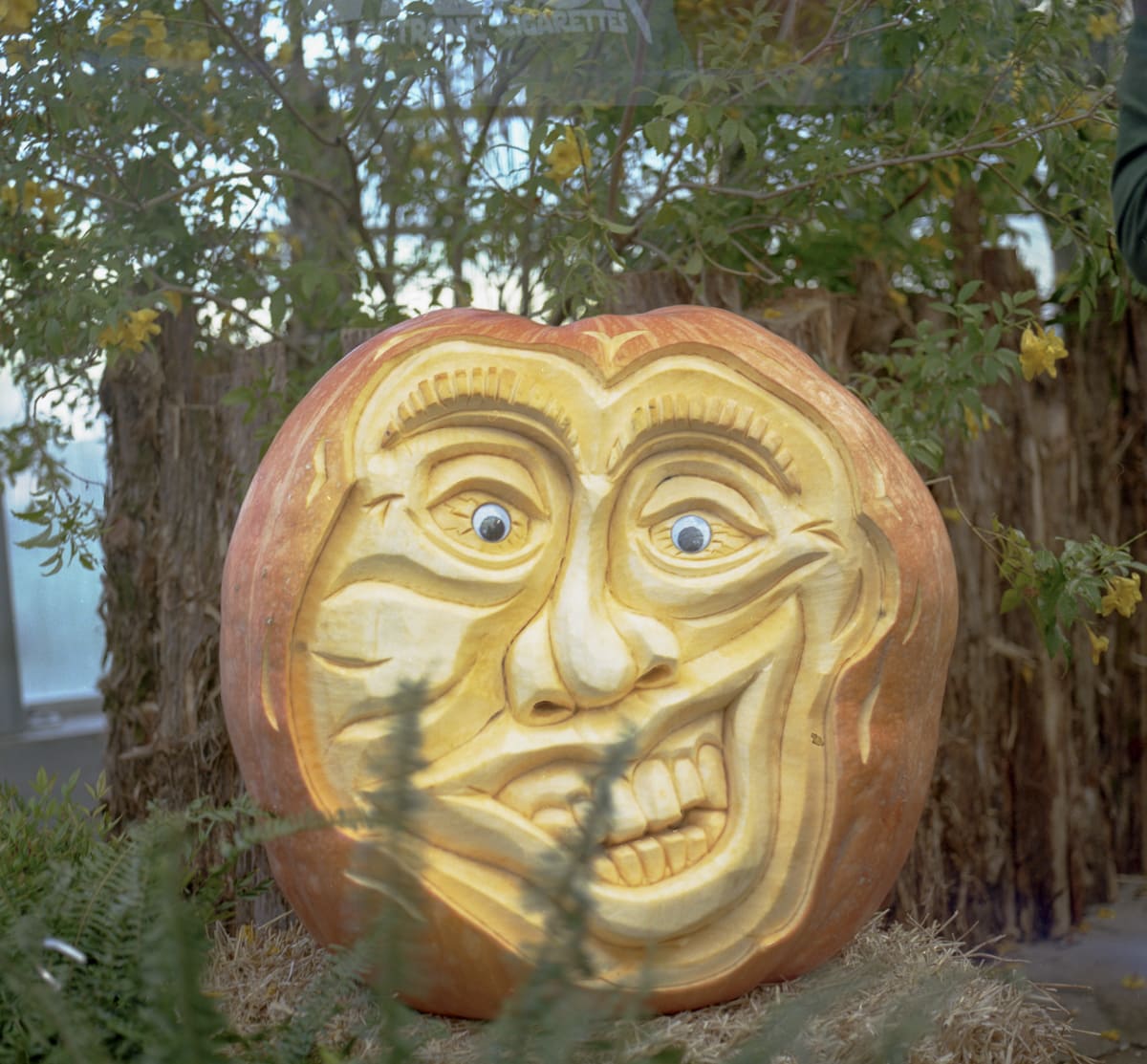 A carved pumpkin at the State Fair of Texas