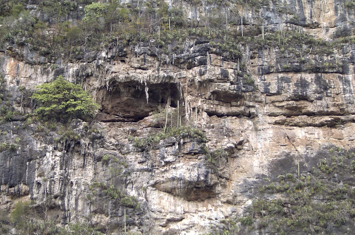 Rock Face at Sumidero Canyon