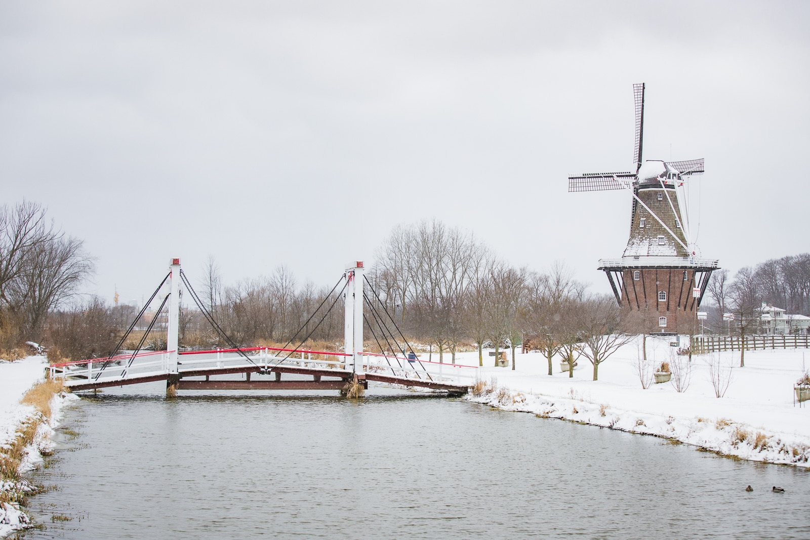 De Zwaan Windmill covered with snow at the Dutch Village in Holland, Michigan