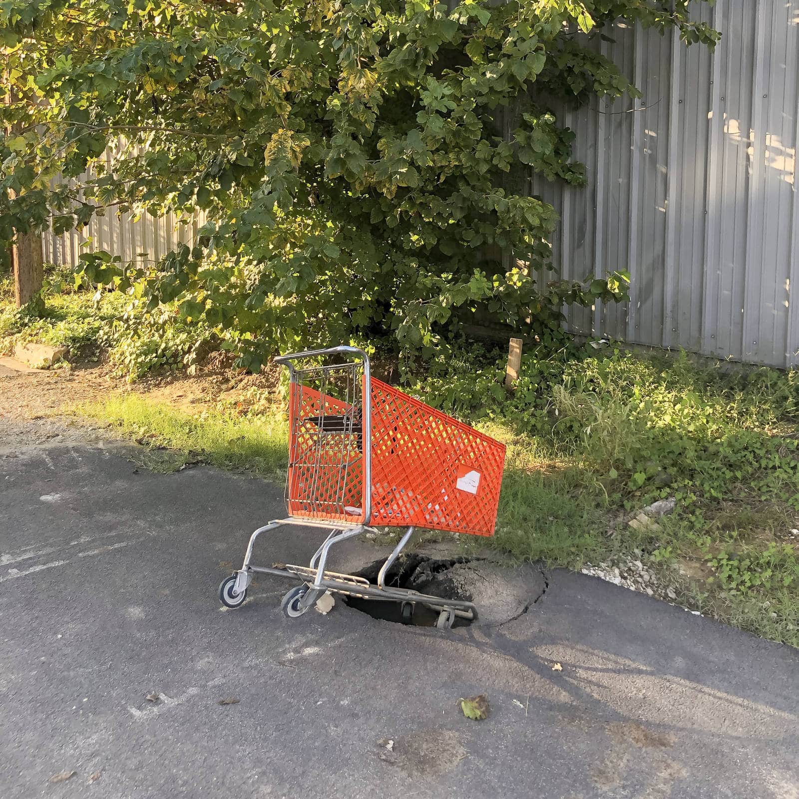 Photos People Remember: A shopping cart in a pot hole
