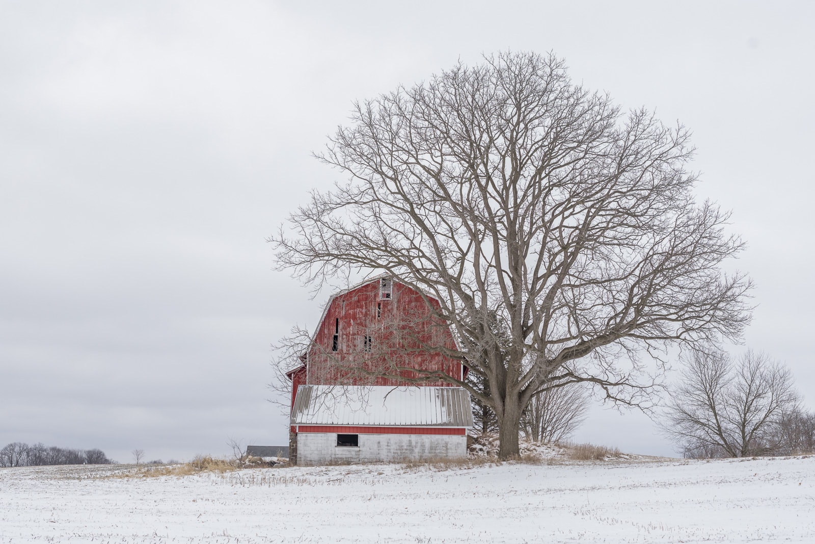 Old Red Dutch barn covered with snow