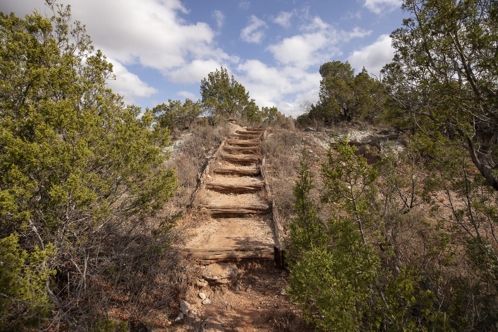 Copper Breaks Trail