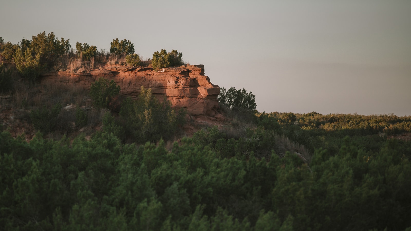 Lion Face Rock Formation at Copper Breaks State Park