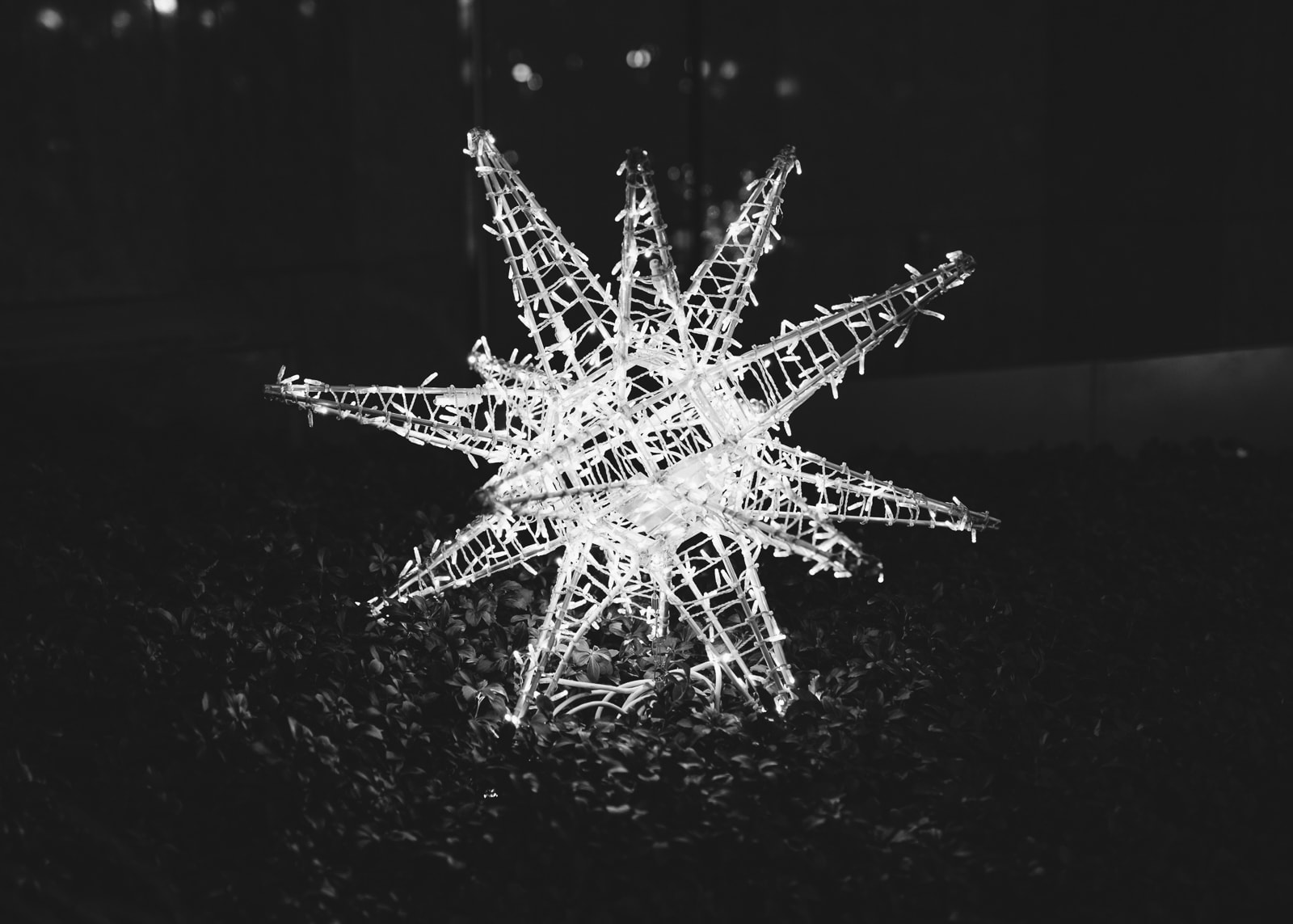 Christmas lights in downtown Chicago
