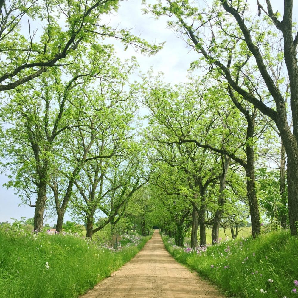Martin Township, A Small Town In Southwest Michigan