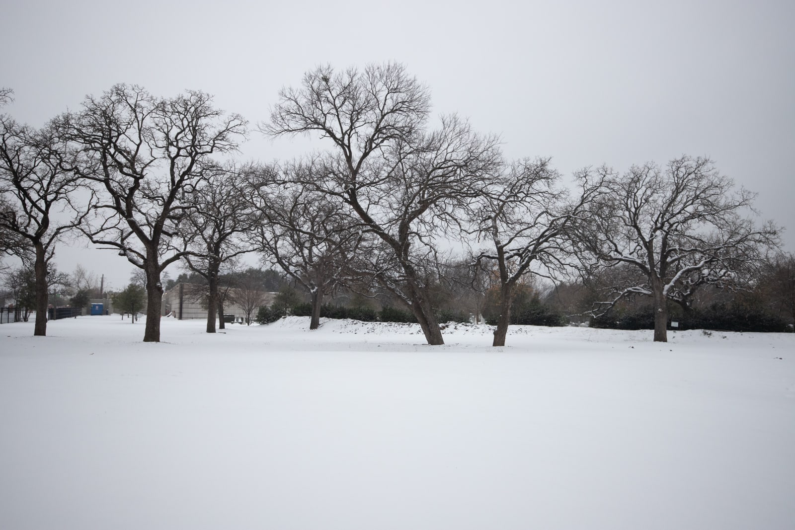 Park completely blanketed with pristine snow