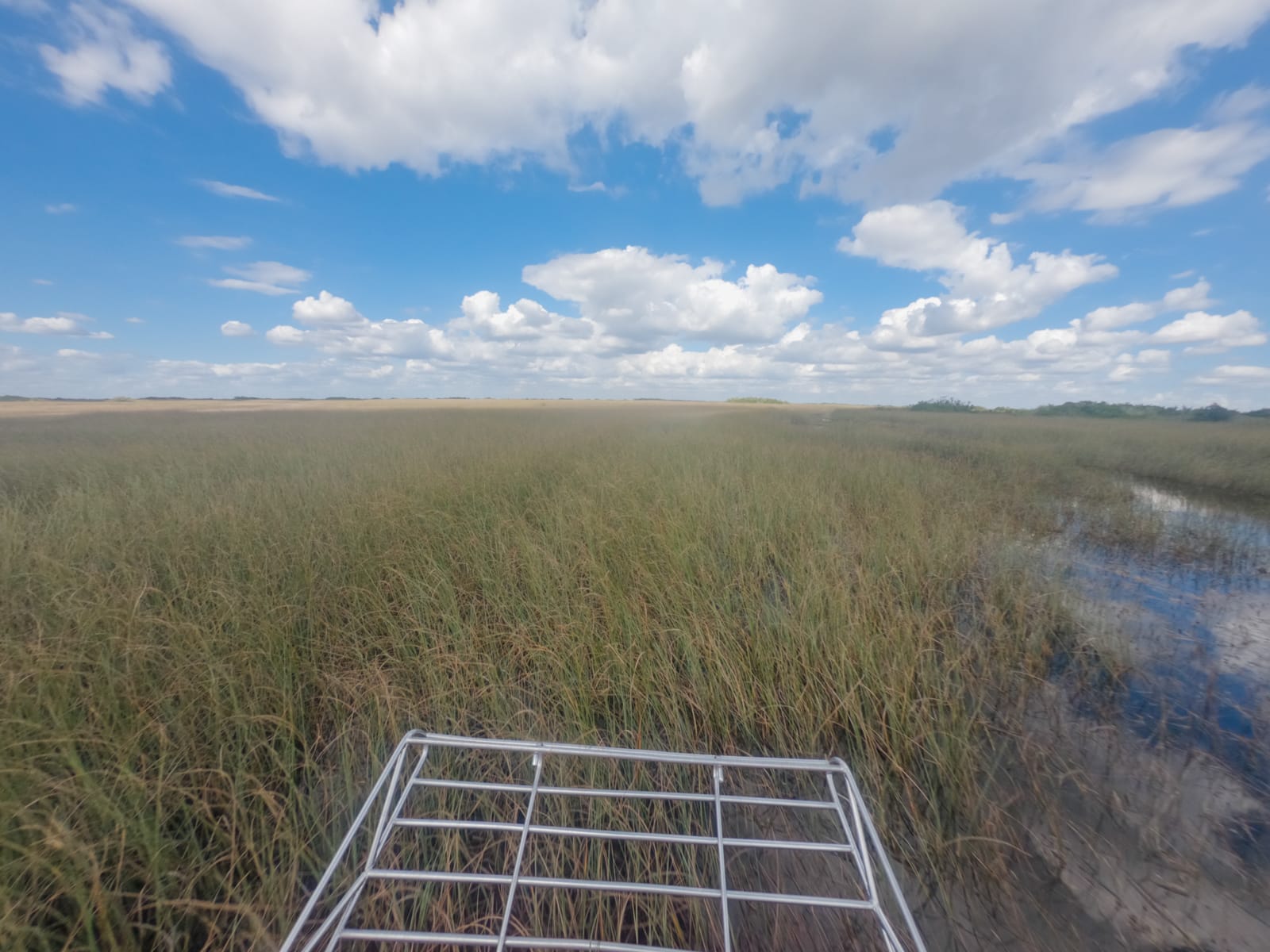 Airboat tour in the Everglades