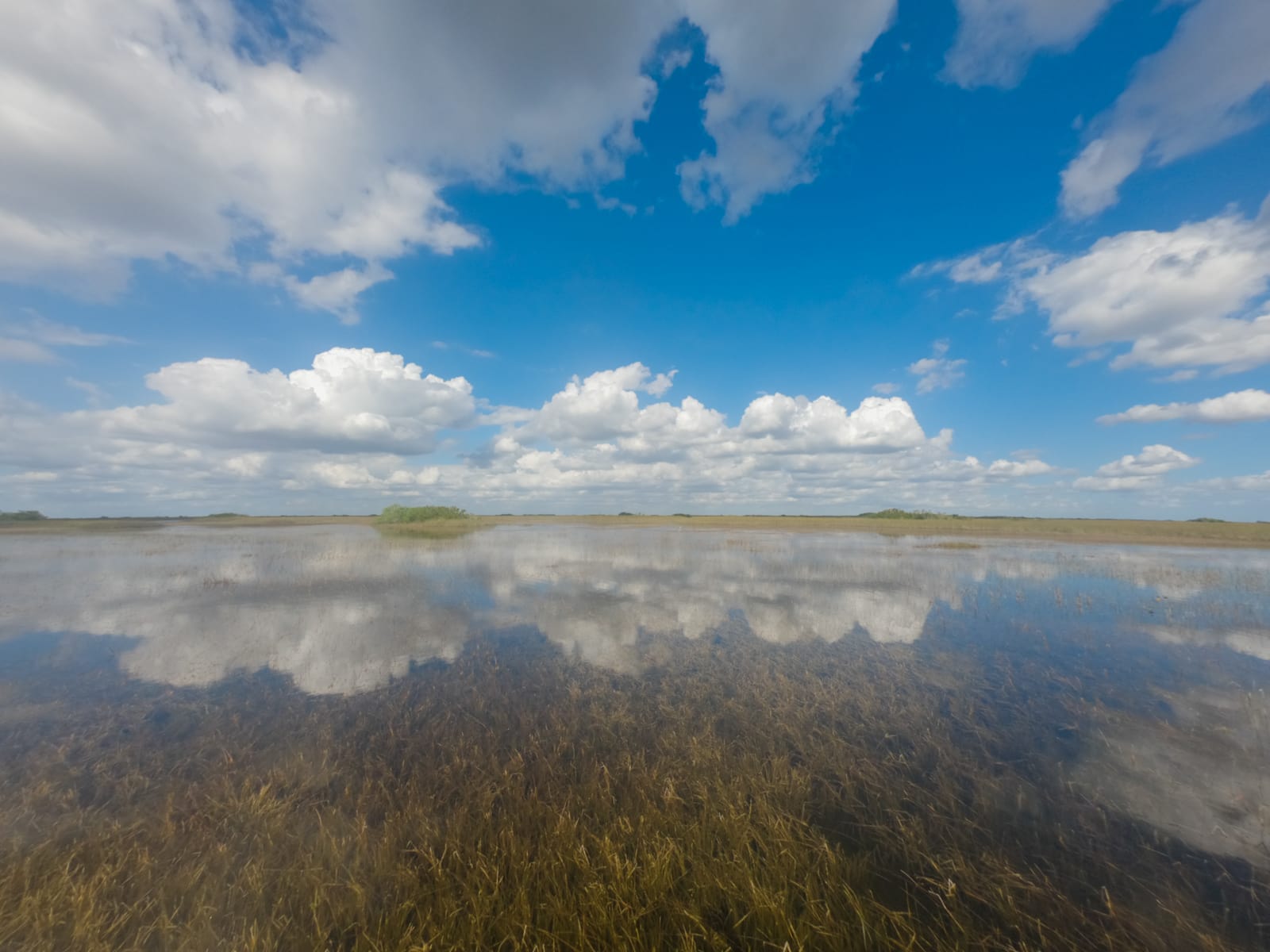 Florida Everglades landscape reflection of the sky