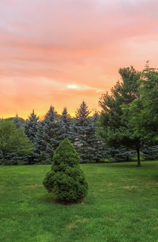 Martin Township, A Small Town In Southwest Michigan