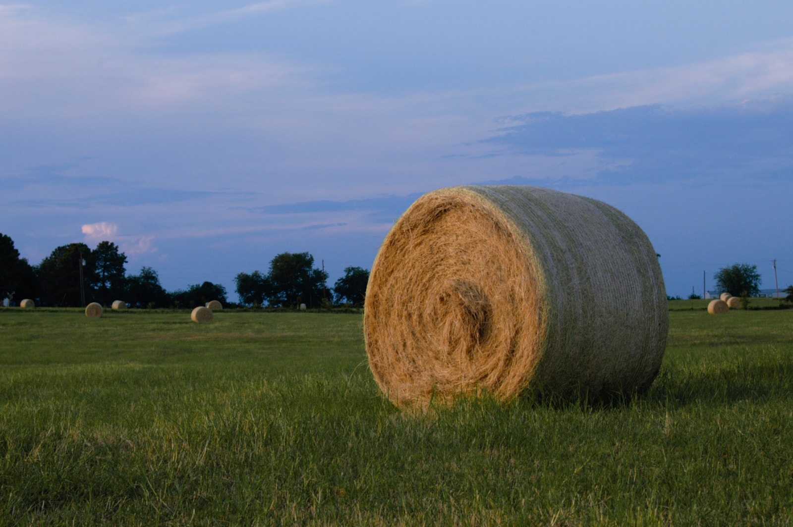 Hay bale in a pasture at dusk