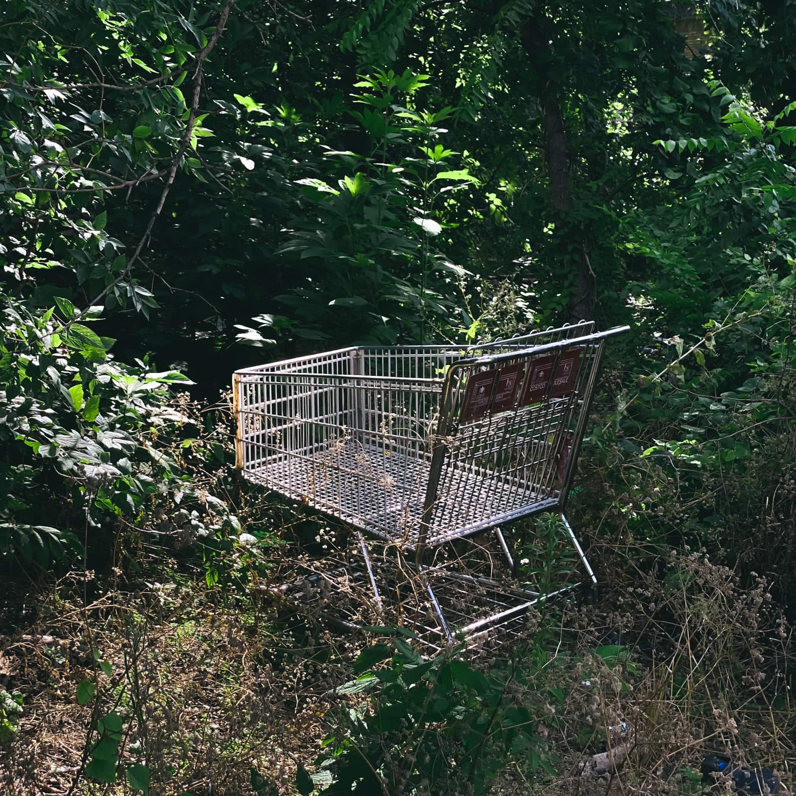 Abandoned Shopping Cart