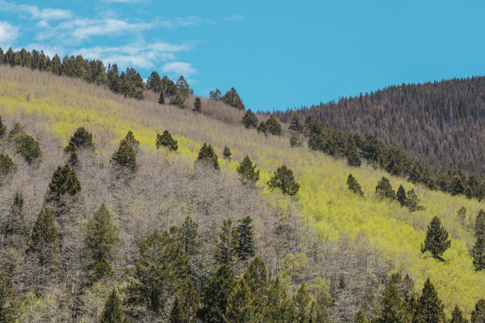 Sangre de Cristo Mountains in New Mexico