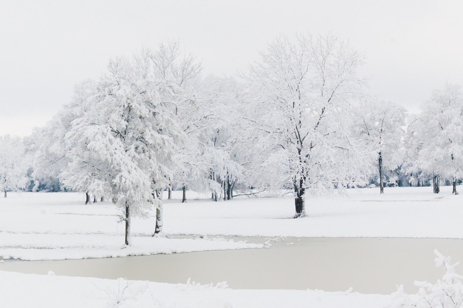Trees and a pond in a snow covered pasture
