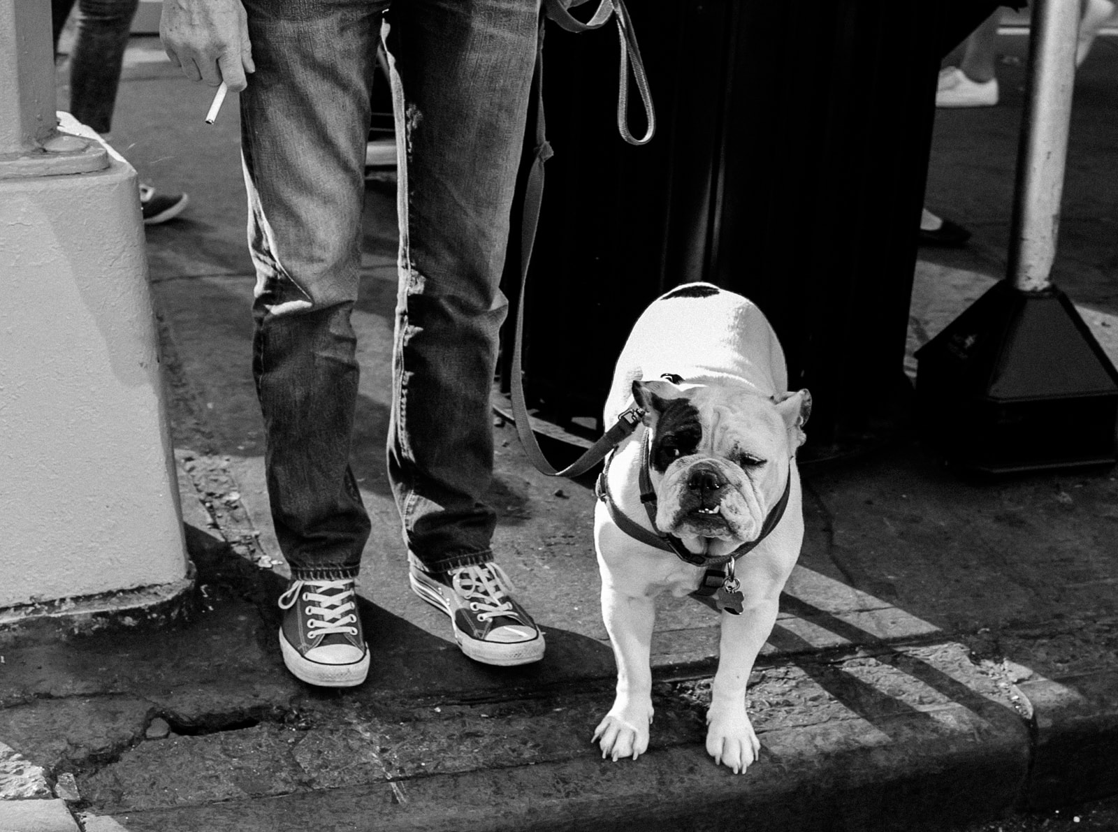 A smoker with his bulldog, New York City Street Photography
