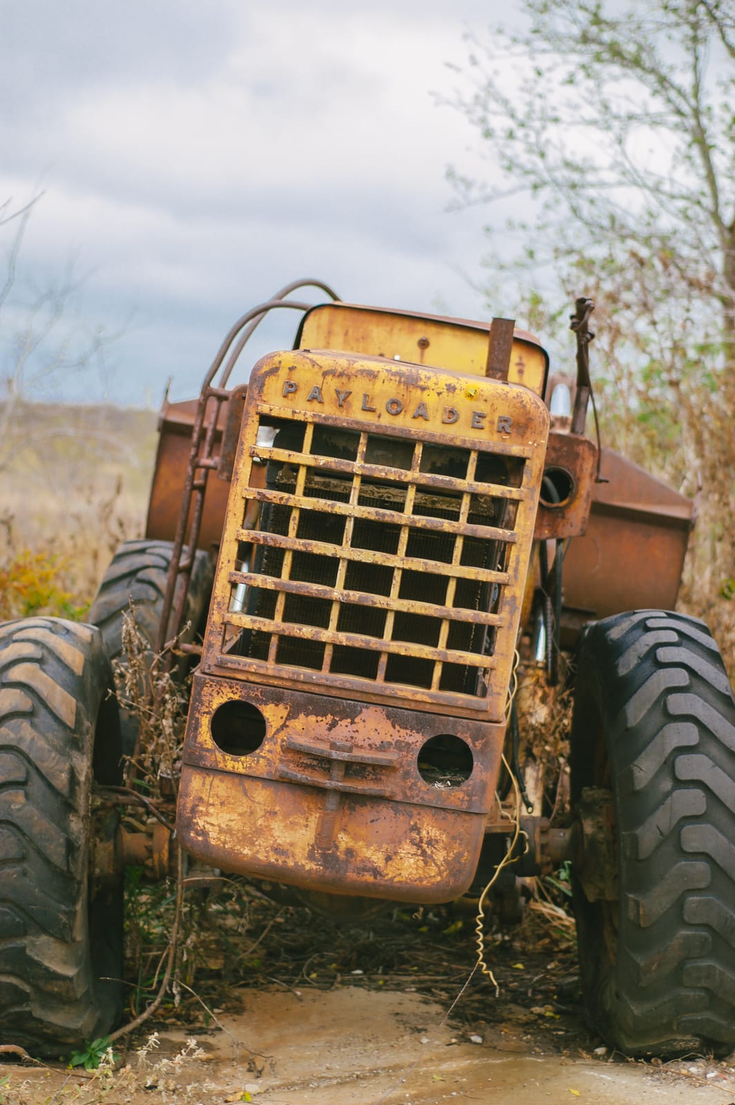 An abandoned antique International Payloader traactor