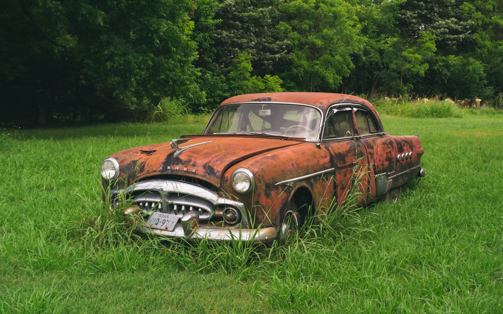 1952 Packard Patrician 400 Abandoned And Deteriorated In A Texas Field