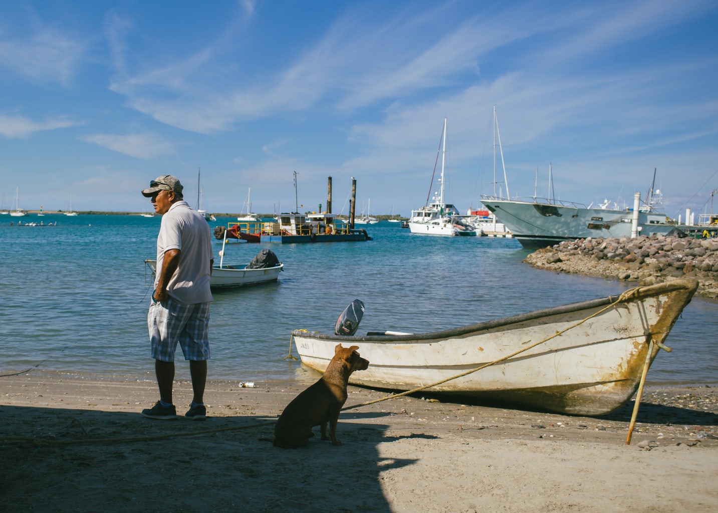 2021 Best Photos: A fisherman and dog on the beach in La Paz, Mexico