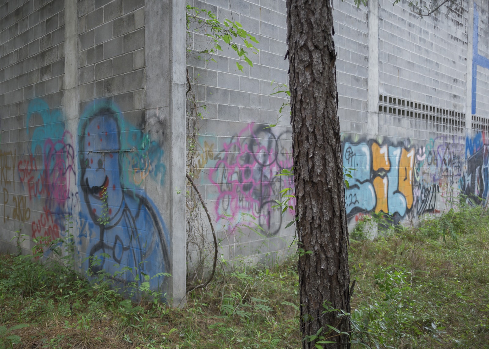 Urbex Of An Abandoned Warehouse In A Florida Pine Forest