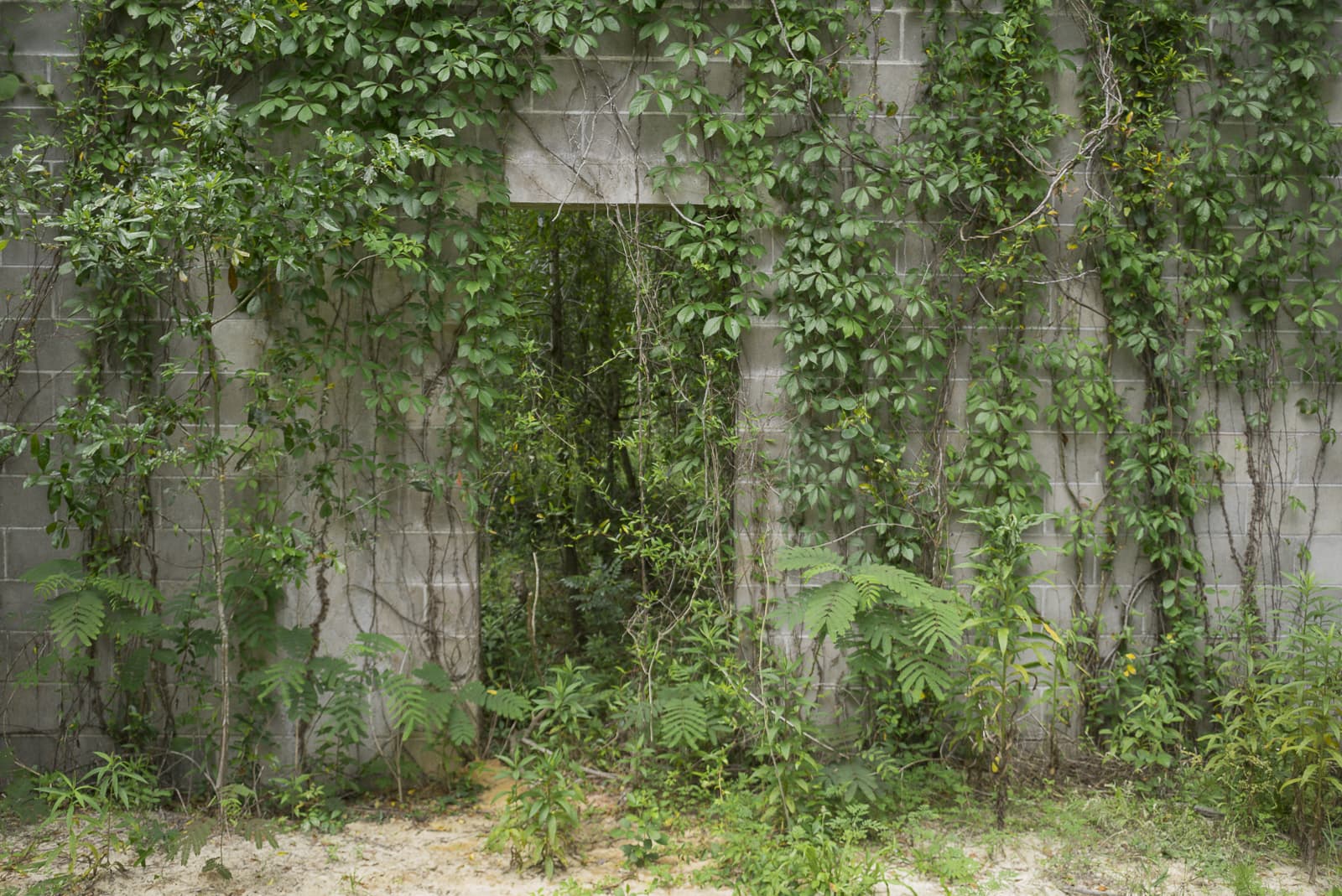 Urbex Of An Abandoned Warehouse In A Florida Pine Forest