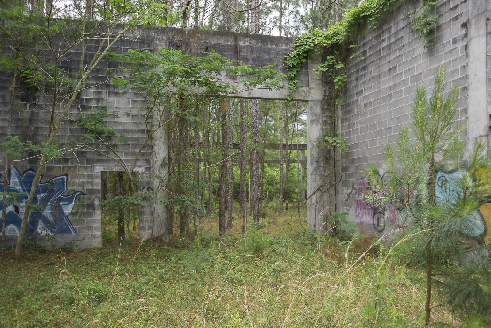 Abandoned Warehouse Urban Exploration In A Florida Pine Forest