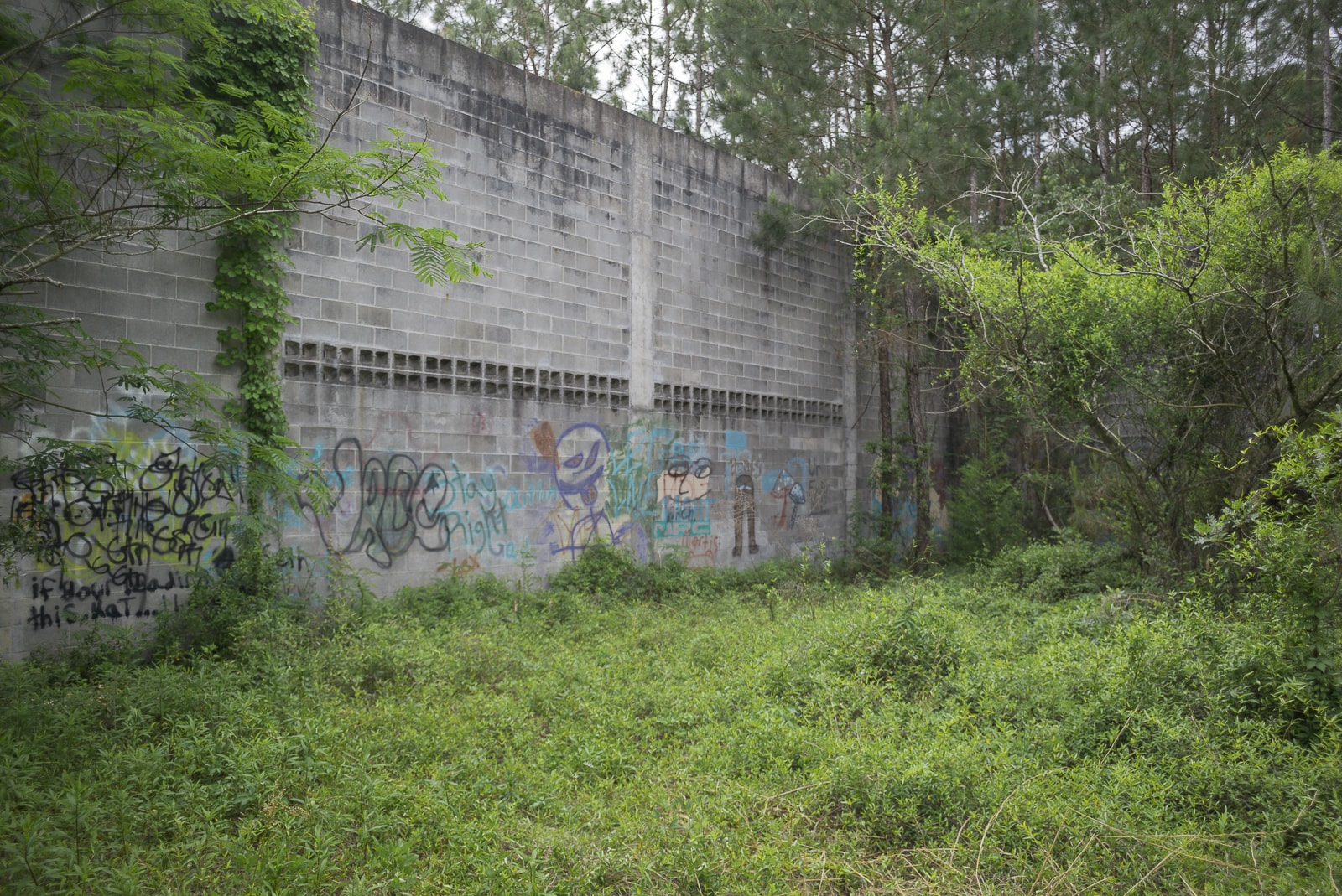 Urbex Of An Abandoned Warehouse In A Florida Pine Forest