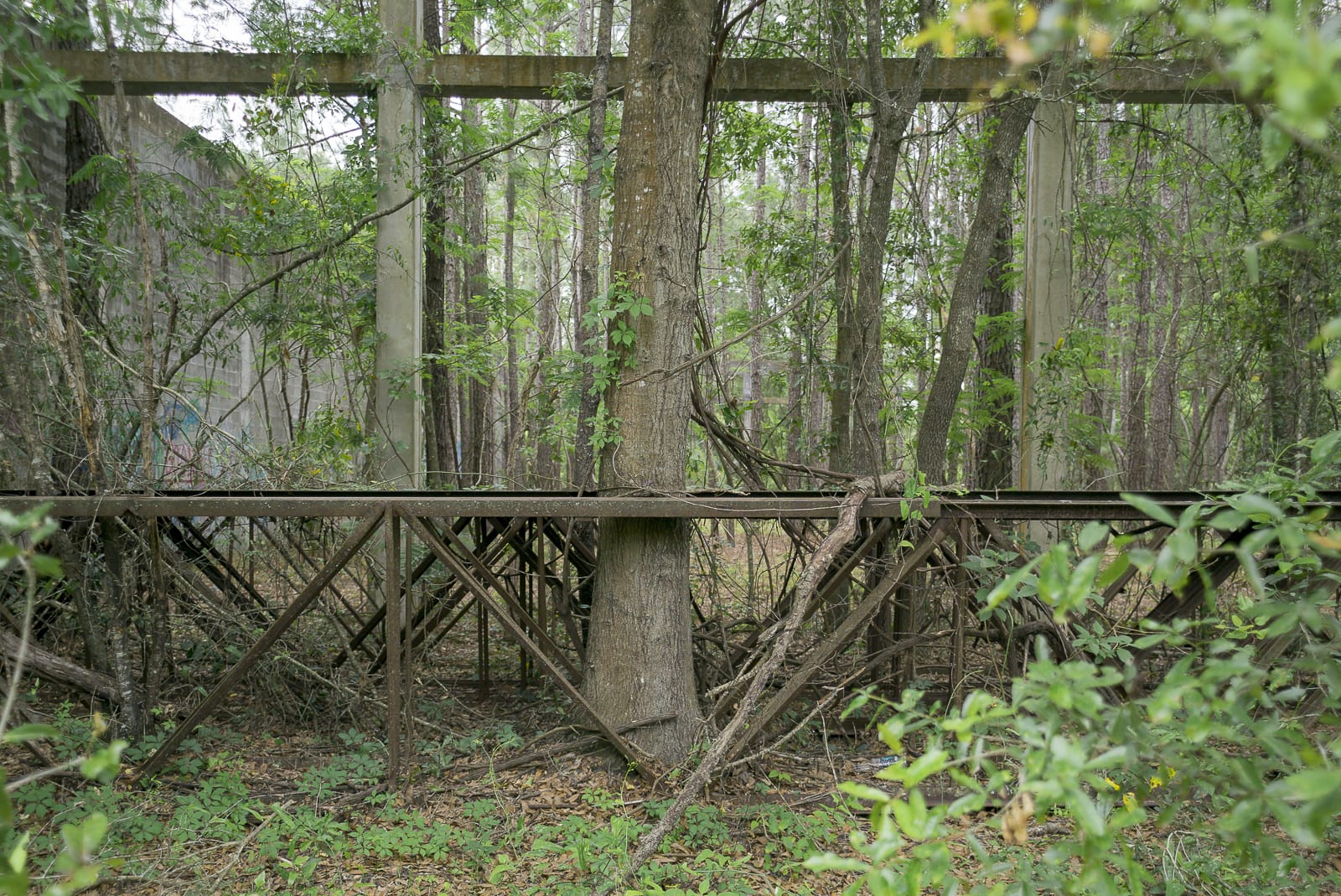 Urbex Of An Abandoned Warehouse In A Florida Pine Forest