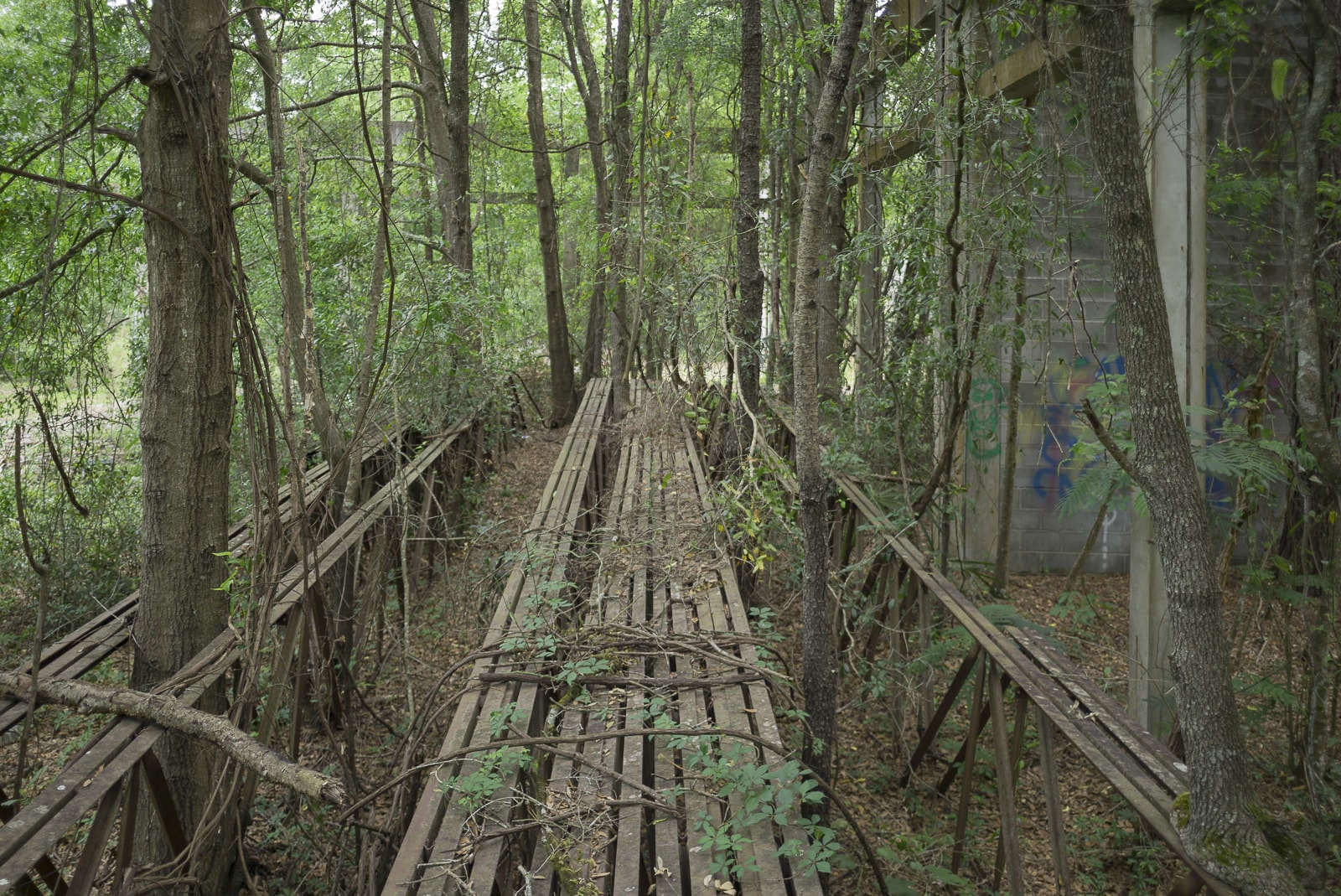 Urbex Of An Abandoned Warehouse In A Florida Pine Forest