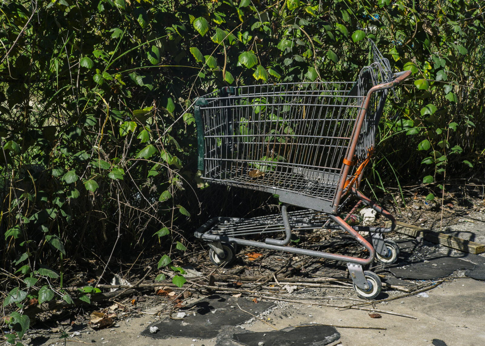 Abandoned shopping cart in Austin