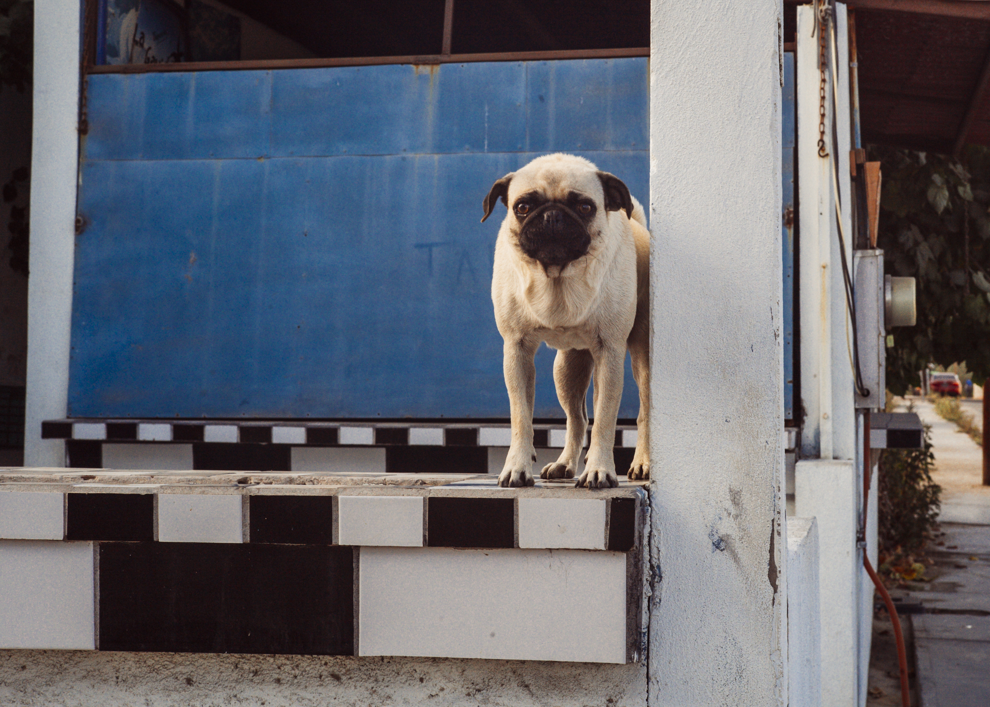 La Paz, Mexico Street Photography