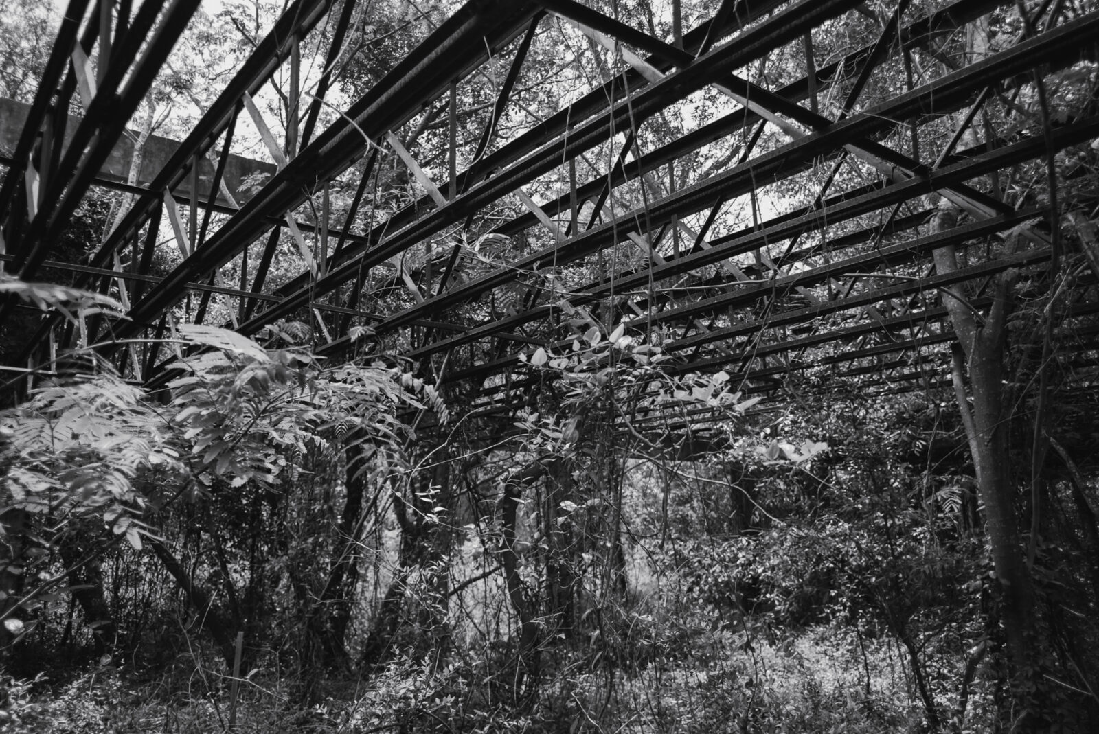 Lake City Florida Abandoned Building