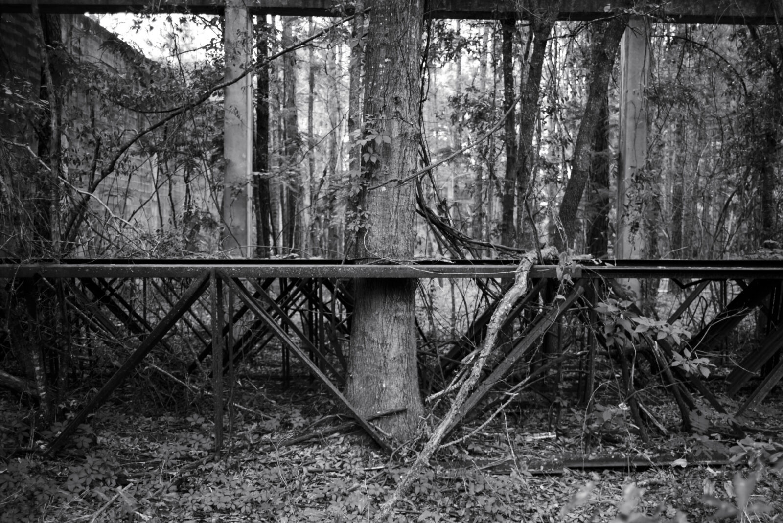 Lake City Florida Abandoned Building