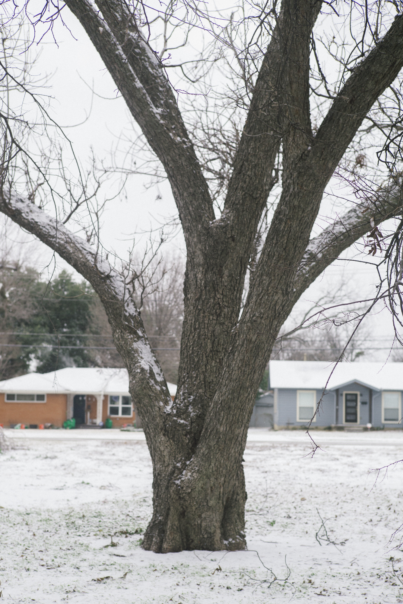 Snow in Dallas