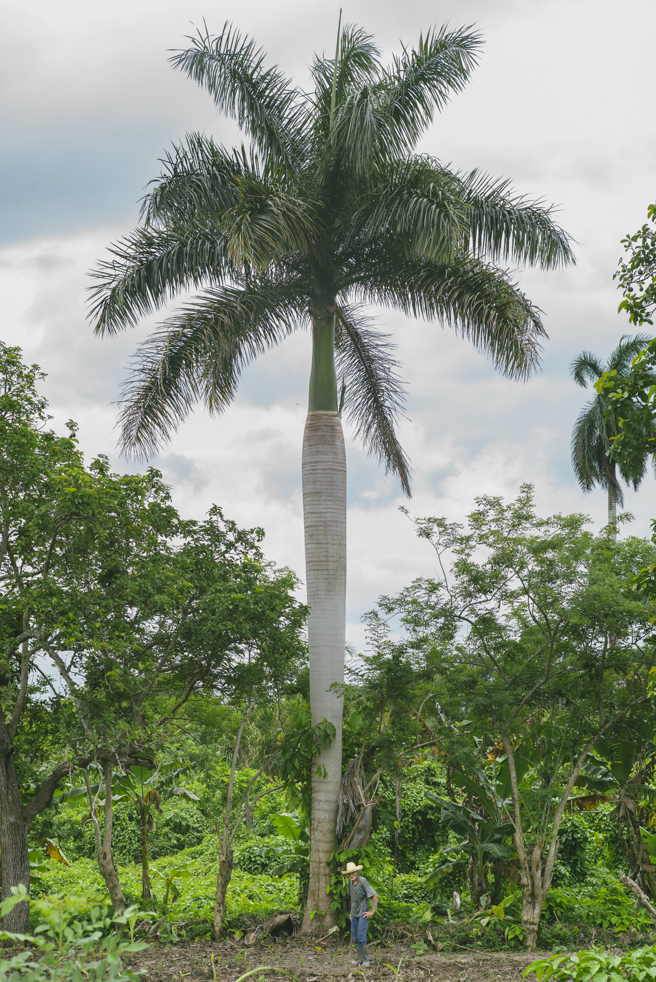 Taguayabón, Cuba: Photos Of A Vibrant Caribbean Village
