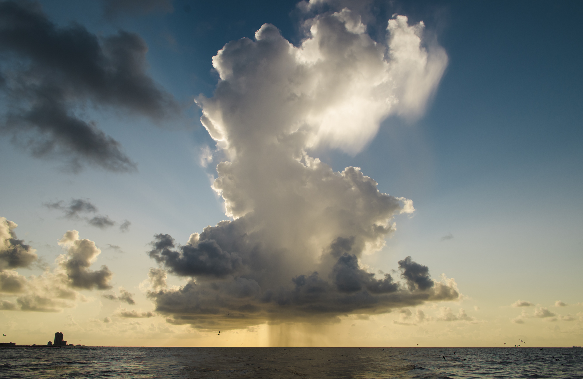 Cumulonimbus calvus cloud over the Gulf of Mexico in Galveston, Texas