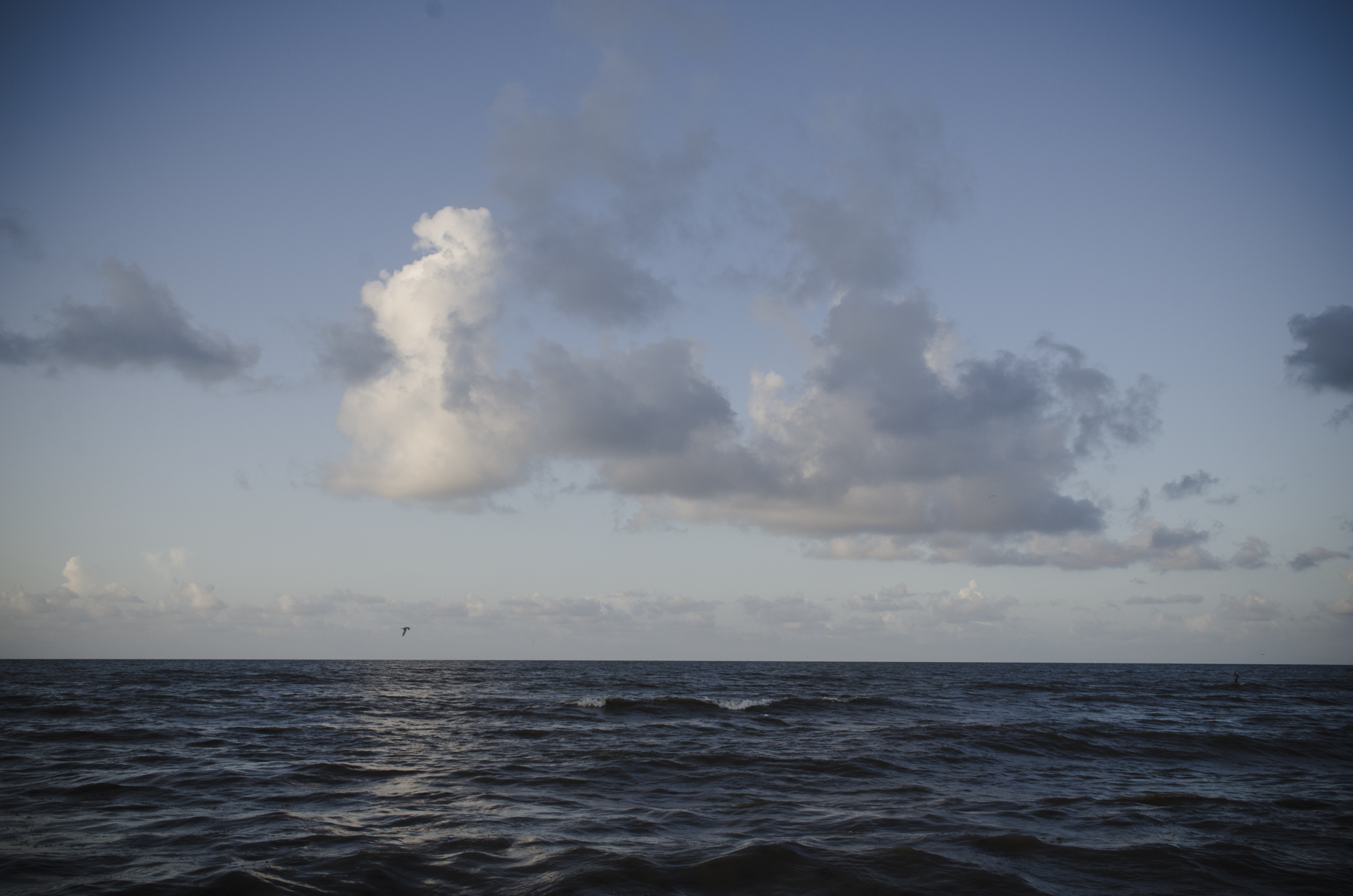 Galveston Seascape