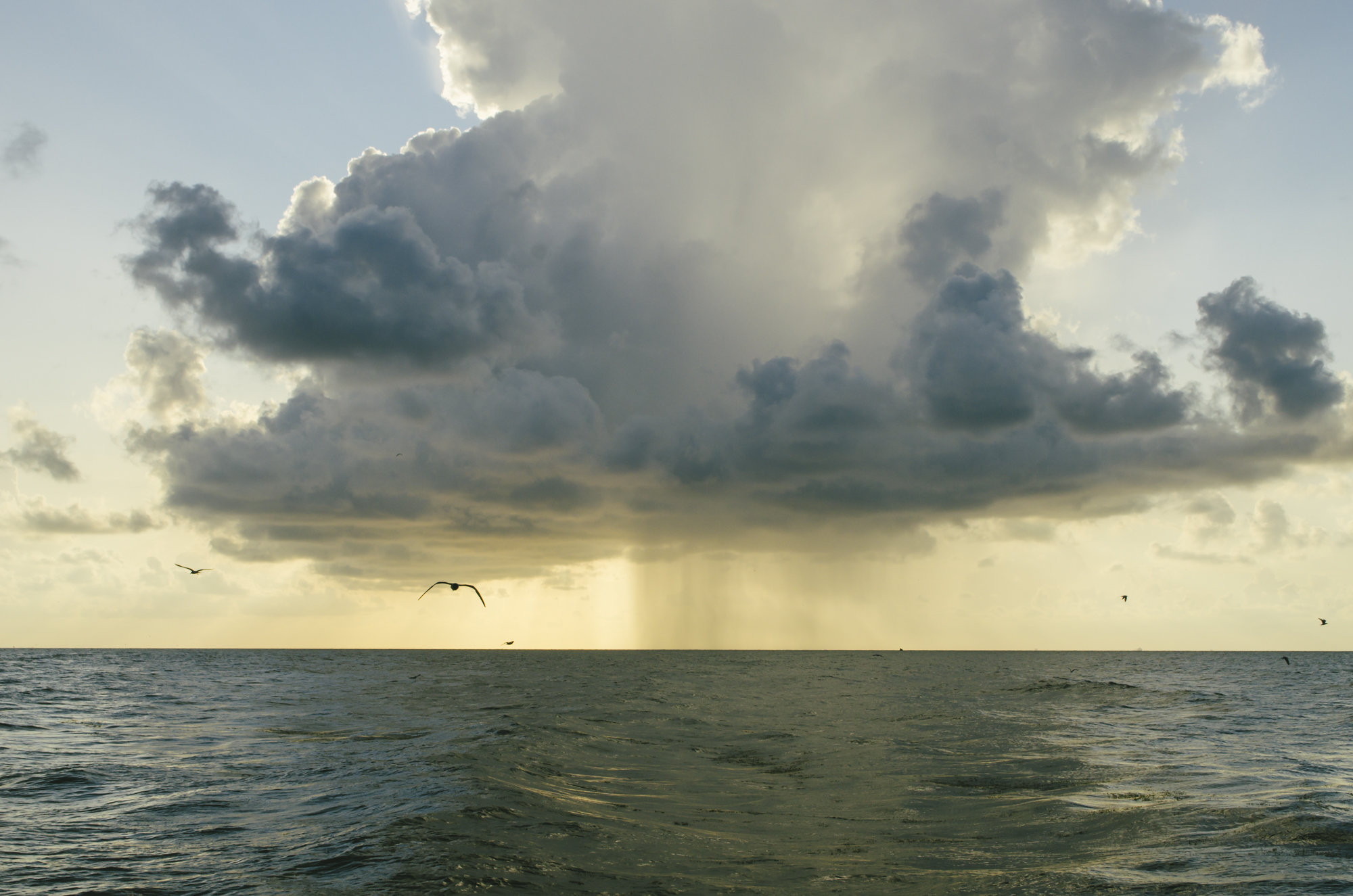 Galveston Seascape