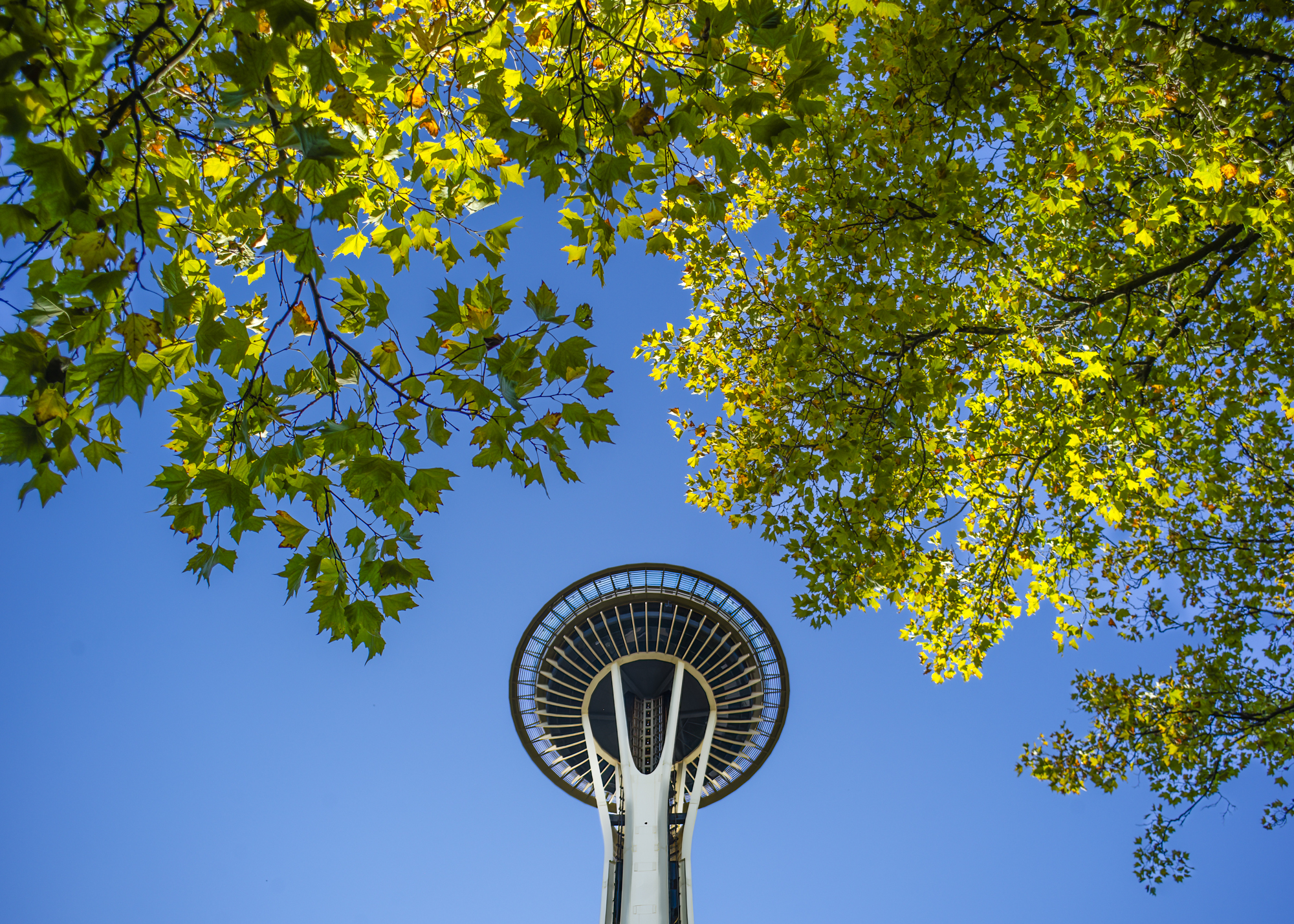 The Seattle Space Needle