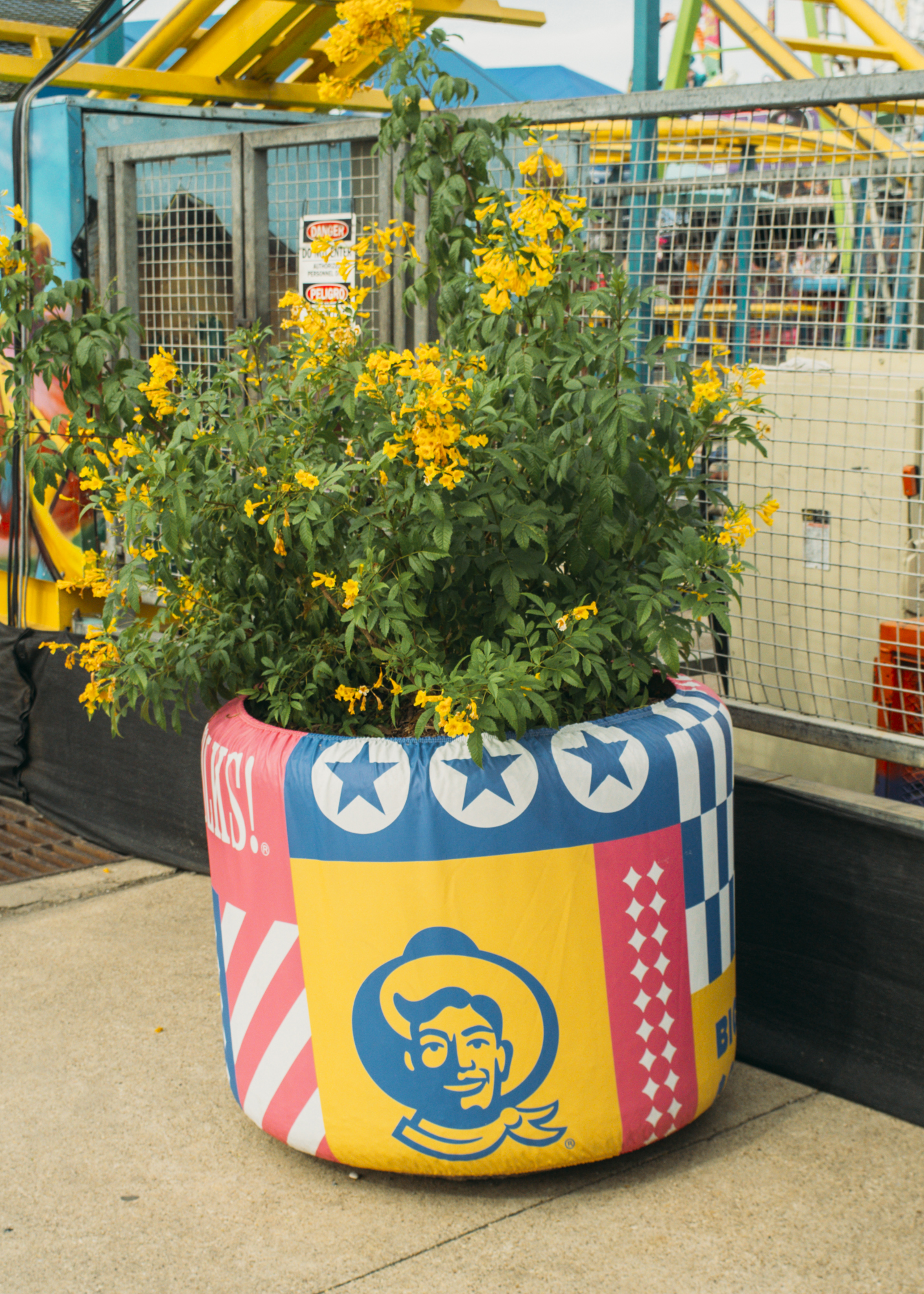 a potted bush at the Texas state fair
