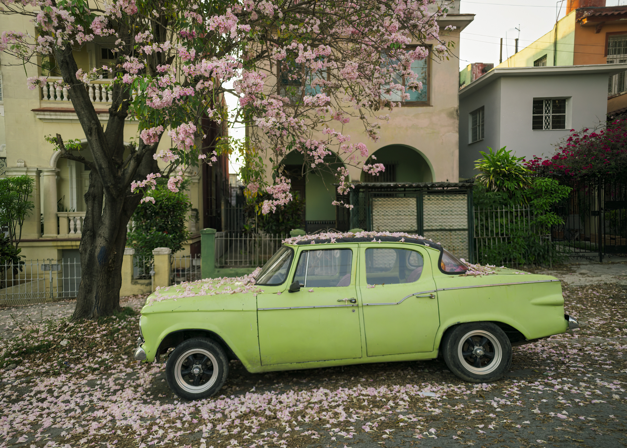 Havana Street Photography: People, Culture, and Classic Cars